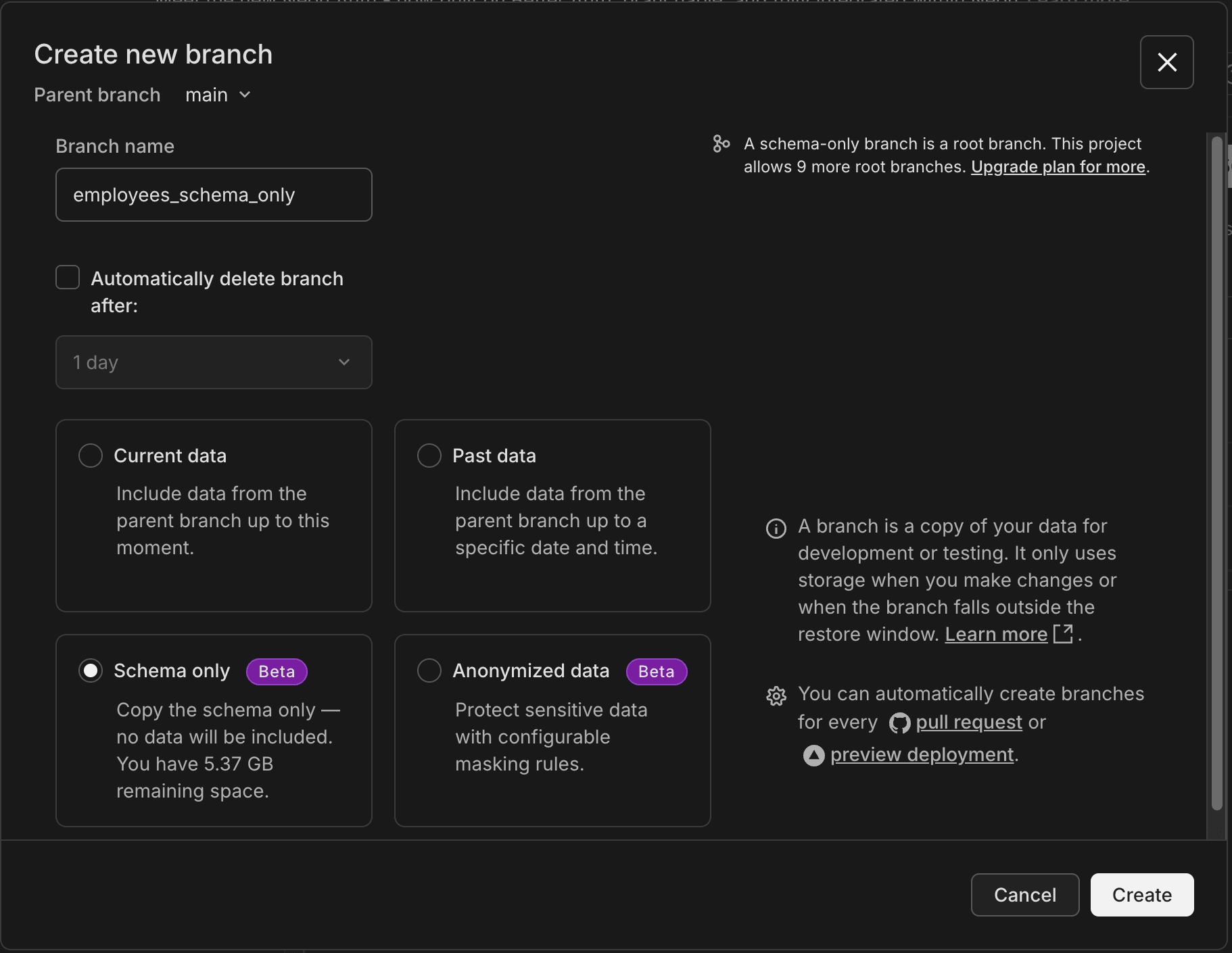 schema-only branch creation