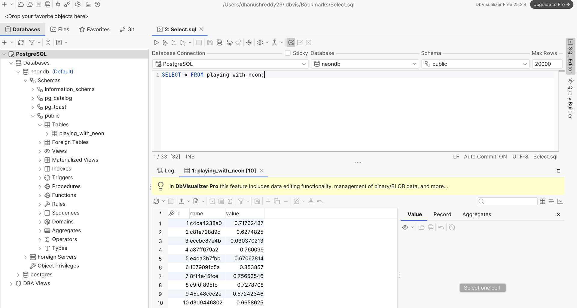 Using DbVisualizer with Neon Postgres - Neon Guides