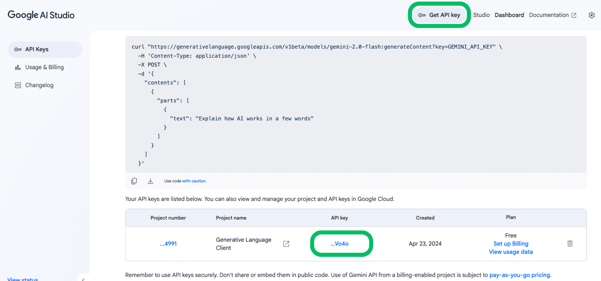 Google Gemini API Key